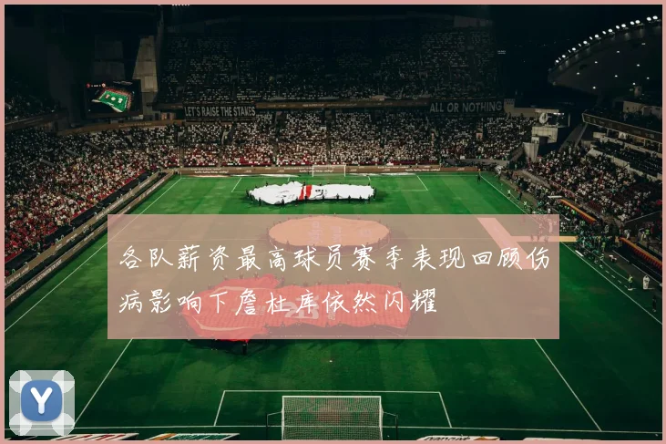 各队薪资最高球员赛季表现回顾伤病影响下詹杜库依然闪耀