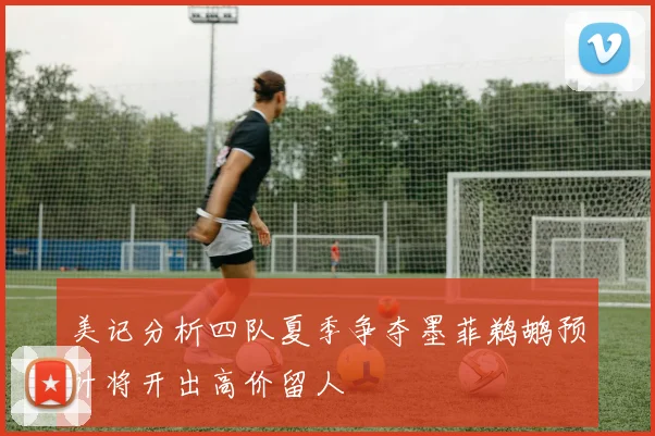 美记分析四队夏季争夺墨菲鹈鹕预计将开出高价留人