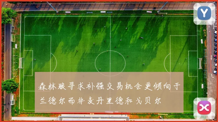 森林狼寻求补强交易机会更倾向于兰德尔而非麦丹里德和戈贝尔